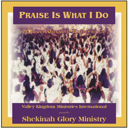 Worship Medley: I Worship You in the Spirit