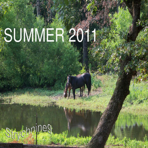 Strychnine " MIX Tape Summer 2011" Ext Version