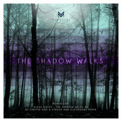 The Shadow Walks