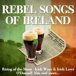 Foggy Dew