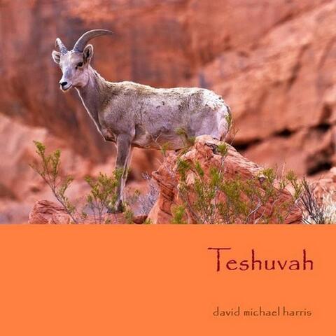 Teshuvah - Single