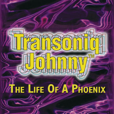 The Life Of A Phoenix