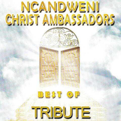 Zoo Loo Tribute to Ncandweni Christ Ambassadors - Best of