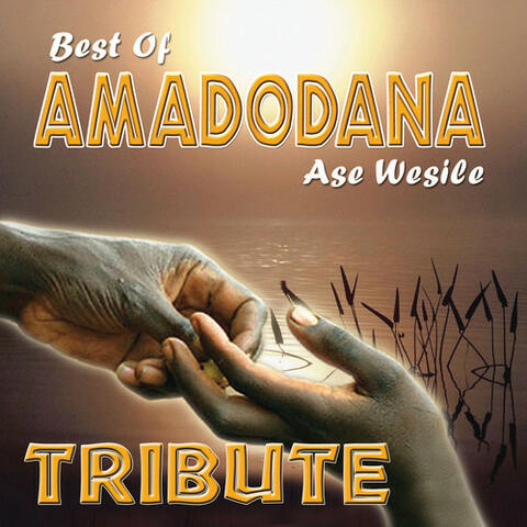 Zoo Loo Tribute to Amadodana Ase Wesile - Best of