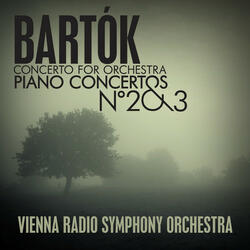 Concerto for Orchestra, Sz 116 (BB 123): I. Introduzione: Andante non troppo - Allegro vivace