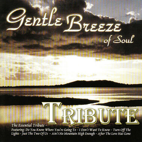 Dubble Trubble Tribute - Gentle Breeze of Soul