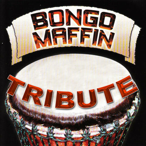 Zoo Loo Tribute to Bongo Maffin