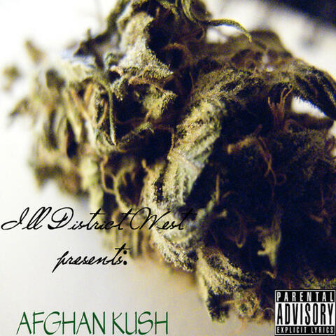 Afghan Kush