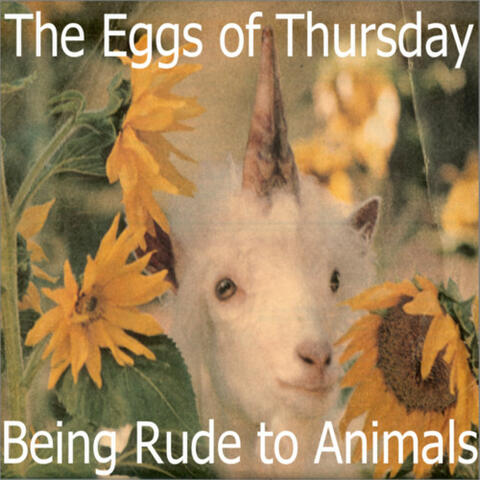 Being Rude To Animals