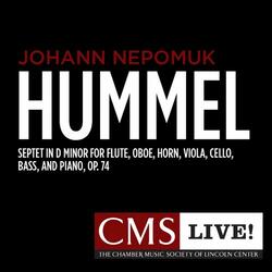 Septet in D minor for Flute, Oboe, Horn, Viola, Cello, Bass, and Piano, Op. 74: IV. Finale: Vivace