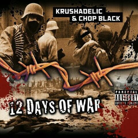 12 Days of war