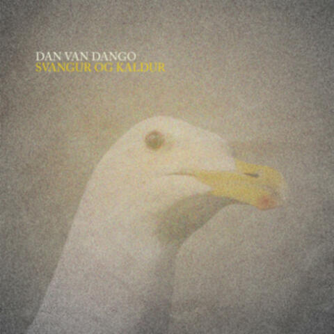 Svangur Og Kaldur - EP