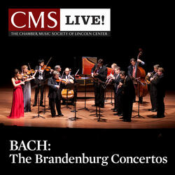 Brandenburg Concerto No. 3 in G major, BWV 1048: II. Adagio - III. Allegro