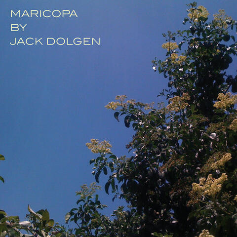 Maricopa