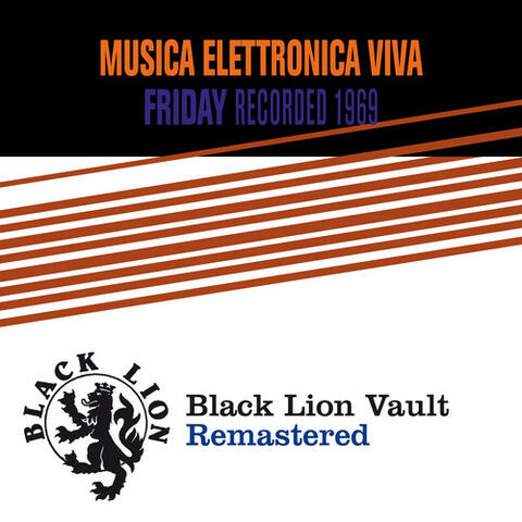 Musica Elettronica Viva