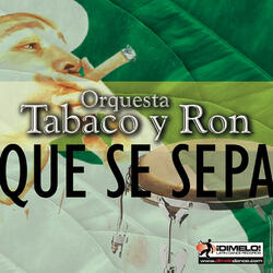 Sonea Mi Son