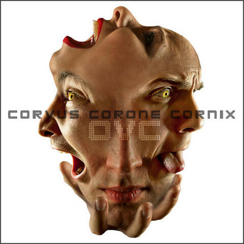 Corvus Corone Cornix - EP