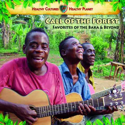 Call of the Forest