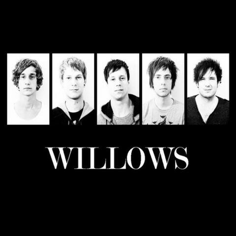 Willows EP