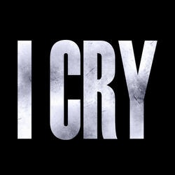 I Cry (Origionally Performed by Flo Rida) [Karaoke Version]