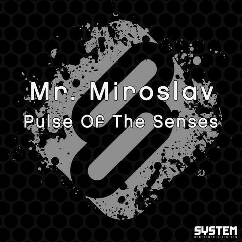 Pulse Of The Senses - Single