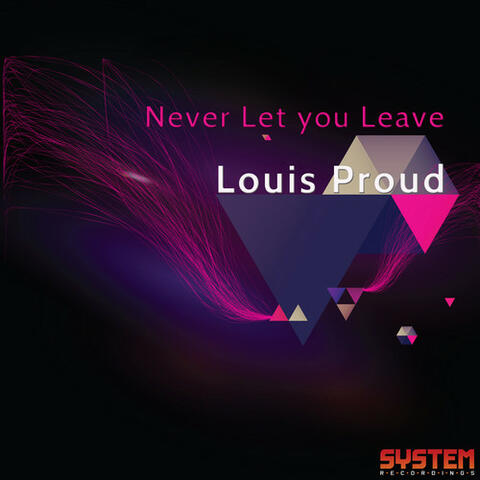 Never Let You Leave