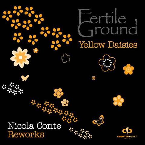 Yellow Daisies (Nicola Conte Remix)