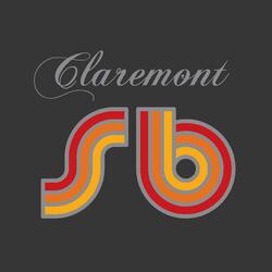 Vegetable Square (Version Idjut âï¿½ï¿½ Pabâï¿½ï¿½s Got A Big One Mix)