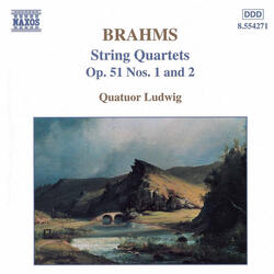 String Quartet No. 1 in C minor, Op. 51, No. 1 | II. Romanze: Poco adagio [Brahms]