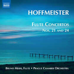 Flute Concerto No. 21 in D major | II. Romanza: Adagio [Hoffmeister]