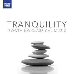 String Quartet No. 1 in D major, Op. 11 | String Quartet No. 1 in D major, Op. 11: II. Andante cantabile [Tchaikovsky]