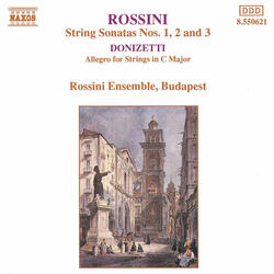 Allegro for Strings in C major [Donizetti]