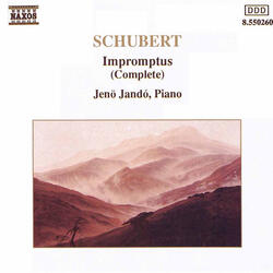 4 Impromptus, Op. 90, D. 899 | Impromptu No. 1 in C minor [Schubert]