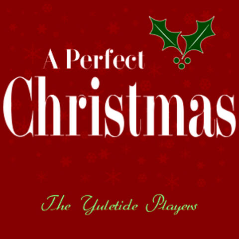 A Perfect Christmas
