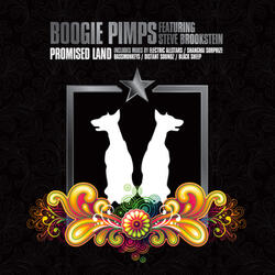 Promised Land [Shanghai Surprize Radio Edit]