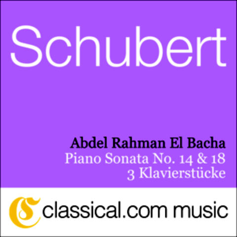 Franz Schubert, Piano Sonata No. 18 In G, Op. 78 D. 894