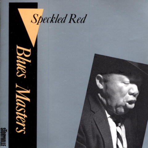 Blues Masters Vol. 11