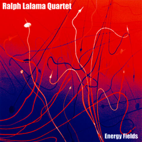 Energy Fields
