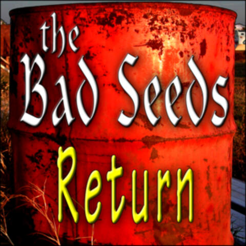The Bad Seeds Return