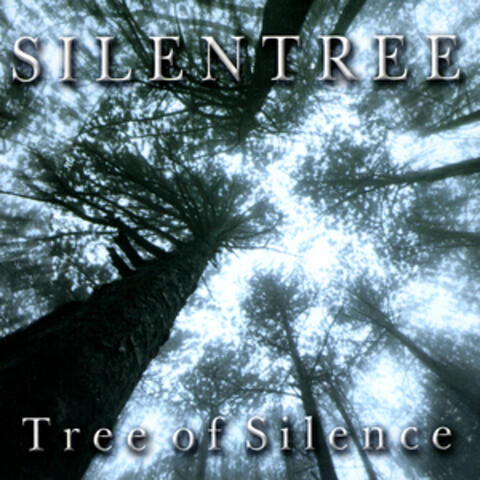 Three Of Silence