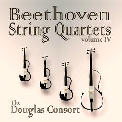 String Quartet No.15 In A minor, Op.132, I. Assai sostenuto - Allegro