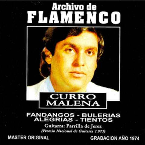 Archivo De Flamenco Vol.16 (Curro Malena)
