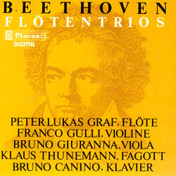 Serenade for Flute, Violin & Viola in D Major, Op. 25: V. Allegro scherzando e vivace