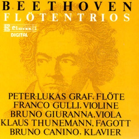 Beethoven: Trio WoO 37  & Serenade Op. 25