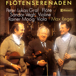 Serenade In D Major, Op. 77A; Andante Semplice Con Variazioni
