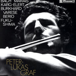 Sonata in A Minor for Solo Flute: II. Allegro - I. Poco adagio - III. Allegro