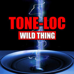 Wild Thing (Instrumental Version)