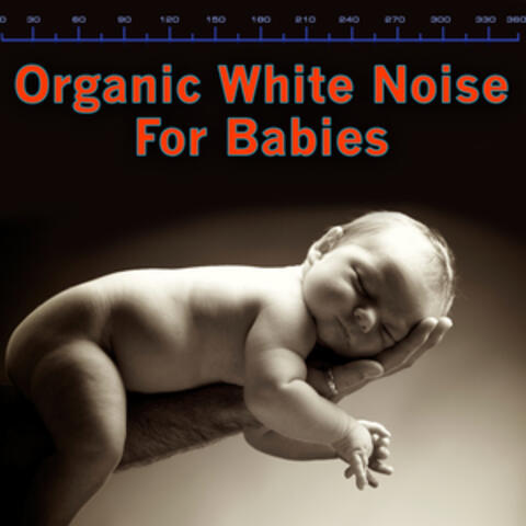 Baby Care Audio Specialists