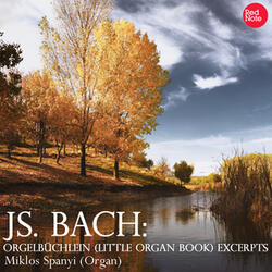 Orgelbüchlein (Little Organ Book), BWV 618: Lent - O Lamm Gottes, unschuldig