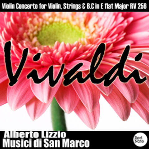 Vivaldi: Violin Concerto for Violin, Strings & B.C in E flat Major RV 256